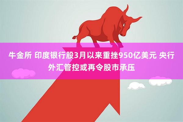牛金所 印度银行股3月以来重挫950亿美元 央行外汇管控或再令股市承压