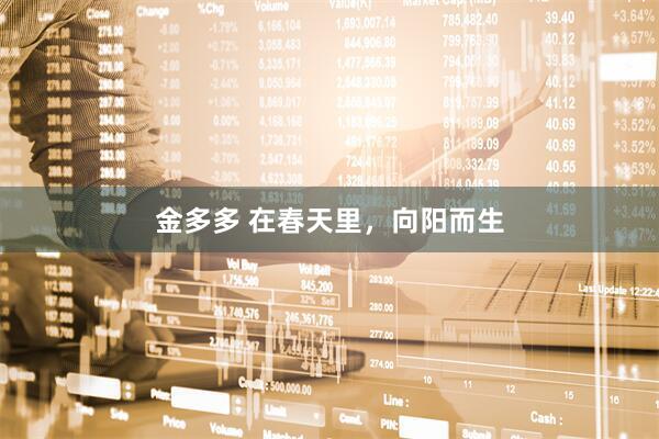 金多多 在春天里，向阳而生